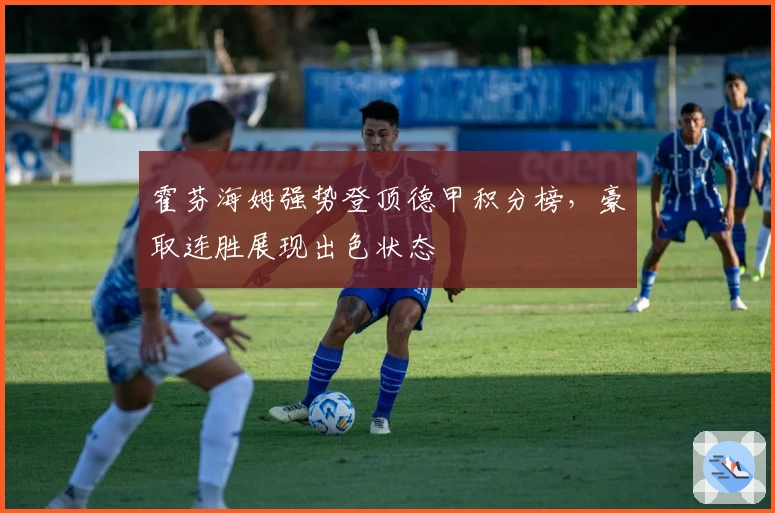 霍芬海姆强势登顶德甲积分榜，豪取连胜展现出色状态