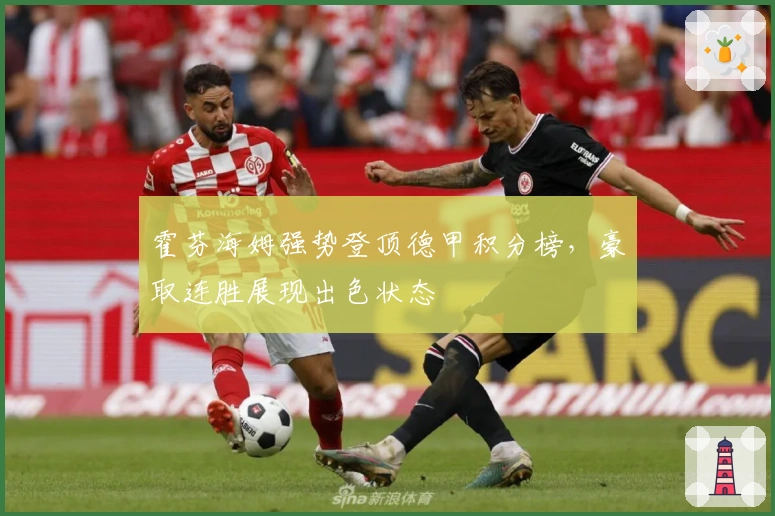 霍芬海姆强势登顶德甲积分榜，豪取连胜展现出色状态
