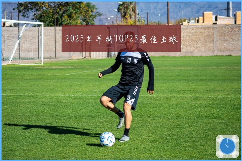 2025年辛纳TOP25最佳击球